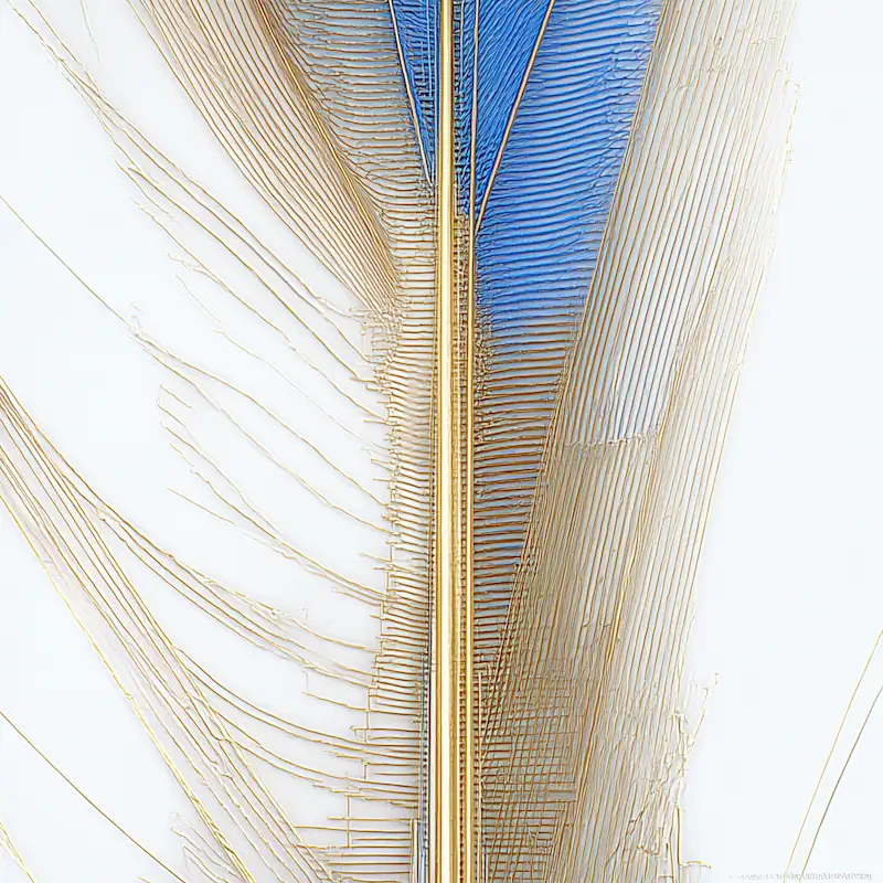 A feather